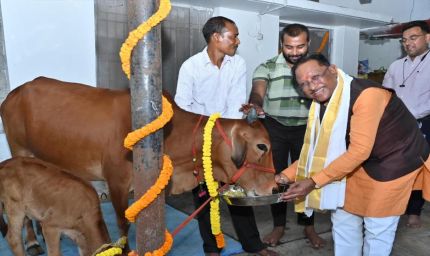 रायपुर : गोवर्धन पूजा के अवसर पर मुख्यमंत्री ने किया गौपूजन, प्रदेशवासियों की सुख-समृद्धि की कामना की
