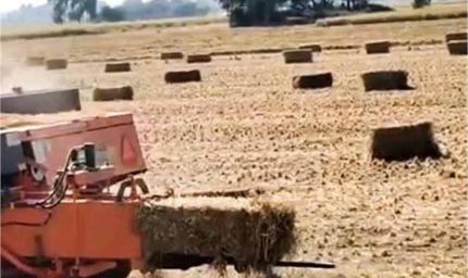 पराली जलाने पर कृषि विभाग की सख्ती: 50 किसानों पर एक नोडल अधिकारी की तैनाती