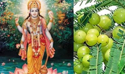 अक्षय नवमी 2025: जानें सही तिथि, पूजा विधि और शुभ मुहूर्त में करें ये खास उपाय