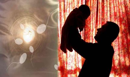 नए शोध में खुलासा: भारतीय पुरुषों की स्पर्म क्वालिटी पूरी दुनिया के उल्टे स्टेबल