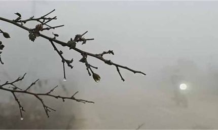 महेंद्रगढ़ में कड़ाके की ठंड, तापमान गिरा 14.5°C; नारनौल में मिली ताज़ी हवा