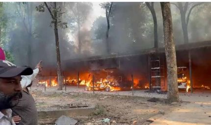 चंडीगढ़ के छतबीड़ जू में भीषण आगः 19 इलेक्ट्रिक गाड़ियां जलकर खाक, मची अफरातफरी