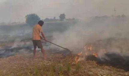 पंजाब में बढ़ी पराली जलाने की घटनाएं, एक ही दिन में रिकॉर्ड तोड़ मामले दर्ज