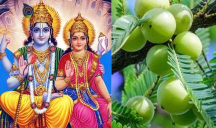 आंवला नवमी पर करें ये शुभ कार्य, जीवन में कभी नहीं आएगी धन और शांति की कमी