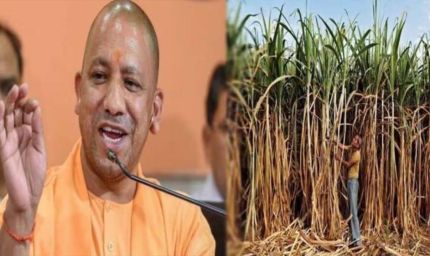यूपी गन्ना किसानों के लिए खुशखबरी: दाम में ₹30 प्रति क्विंटल की बंपर बढ़ोतरी