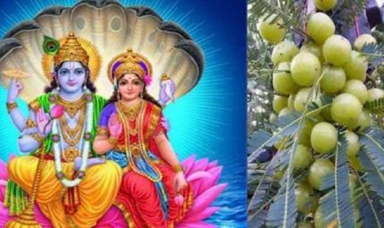 आंवला नवमी व्रत कथा: लक्ष्मी कृपा से मिलेगा धन, सुख और मोक्ष का वरदान