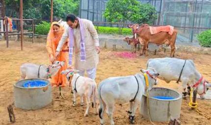गोपाष्टमी पर सीएम ने किया गौपूजन, बोले – गौसेवा हमारी संस्कृति की आत्मा
