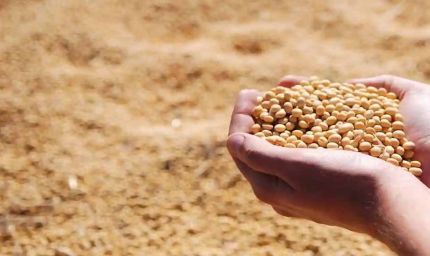 भावांतर योजना के लिए हेल्पलाइन कॉल सेंटर प्रारंभ