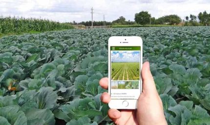 किसानों के लिए खुशखबरी: डिजिटल क्रॉप सर्वे और गिरदावरी सत्यापन की तारीख बढ़ी, अब इस दिन तक कर सकेंगे अपडेट