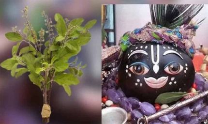 तुलसी के श्राप से शालिग्राम तक: जानें भगवान विष्णु के इस अद्भुत रूप की कथा