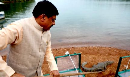 राज्य सरकार जीवों के संरक्षण के लिए है संकल्पबद्ध : मुख्यमंत्री डॉ. यादव