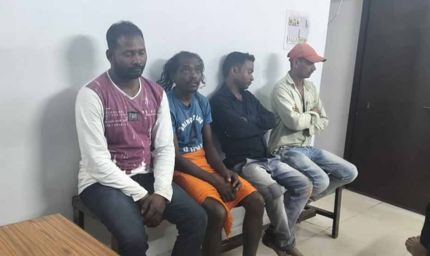 कोरबा में गोवंश तस्करी का पर्दाफाश: आरोपी गिरफ्तार, सात बैल बरामद