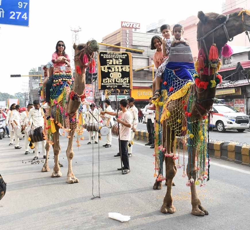 11 साल बाद ऊंट निर्यात पर से प्रतिबंध हटाया गया
