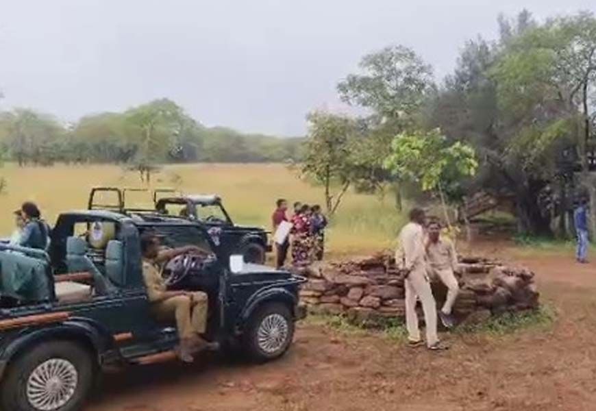 MP के पन्ना टाइगर रिजर्व के गेट 3 महीने बाद खुले, सफारी का रोमांच आज से शुरू