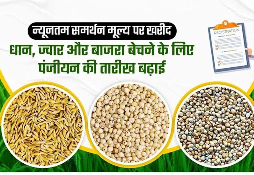समर्थन मूल्य पर धान, ज्वार एवं बाजरा उपार्जन हेतु पंजीयन 10 अक्टूबर तक