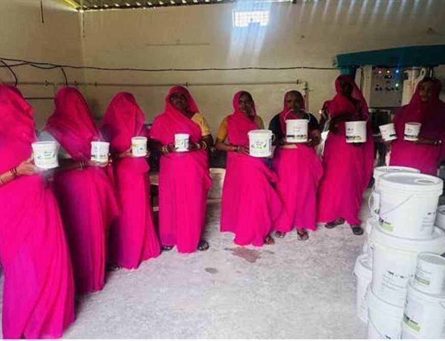 आजीविका मिशन से जुड़ी महिलाओं ने प्राकृतिक पेंट बनाकर की अनूठी पहल : मुख्यमंत्री डॉ. यादव