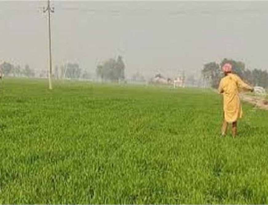 किसानों को दिवाली गिफ्ट: केंद्र सरकार ने बढ़ाया इन फसलों का MSP
