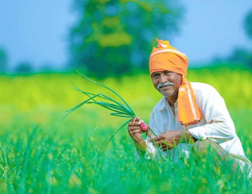 हरियाणा किसानों के लिए बड़ी राहत: ट्यूबवेल बिजली बिल का भुगतान स्थगित, जानें क्या है फायदा