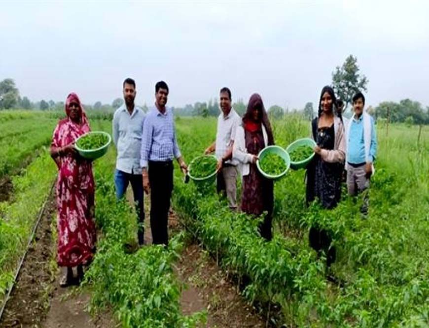 मध्यप्रदेश में क्लस्टर आधारित सब्जी उत्पादन से बदली किसानों की किस्मत, 14 जिलों में 3000 लाभार्थी