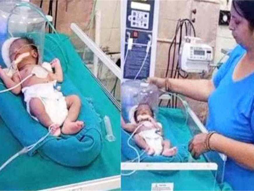 झाड़ियों में फंसी मासूम बच्ची, राहगीरों ने सुनकर किया बहादुरी का काम