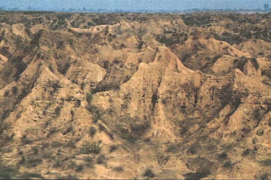 चंबल के बीहड़ में सोलर प्लांट: सरकार की बड़ी योजना से बदल जाएगी पहचान