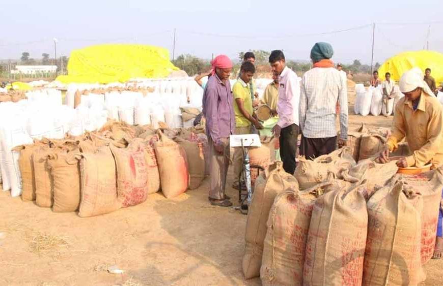 धान खरीदी के लिए एग्रीस्टैक पोर्टल में किसान पंजीयन अनिवार्य : किसान 31 अक्टूबर तक करा सकेंगे पंजीयन