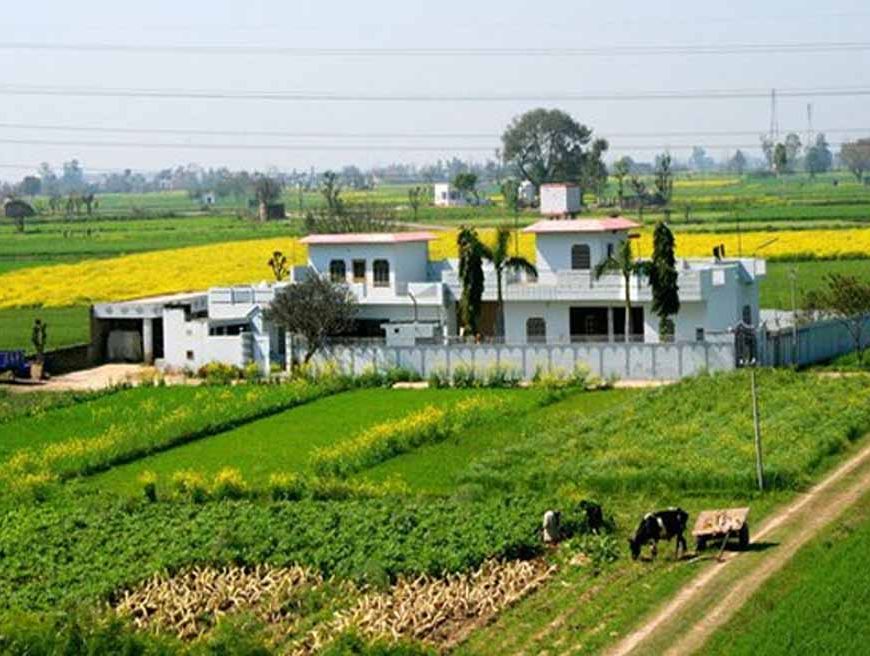 पंजाब की मिट्टी पर संकट: घटती उपजाऊ जमीन ने बढ़ाई चिंता