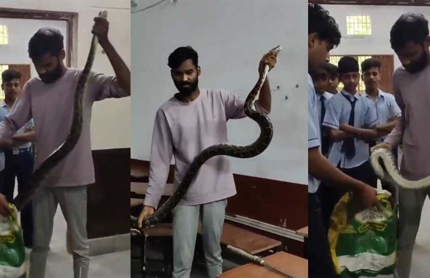 क्लासरूम में अजगर की दहशत, फुंकार से मचा हड़कंप, छात्रों का हुआ रेस्क्यू