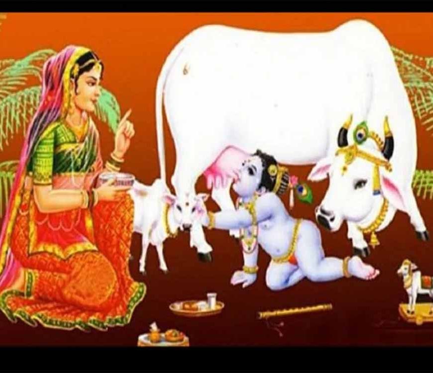 दीपावली पंचपर्व की शुरुआत आज गोवत्स द्वादशी से, जानें शुभ मुहूर्त और महत्व