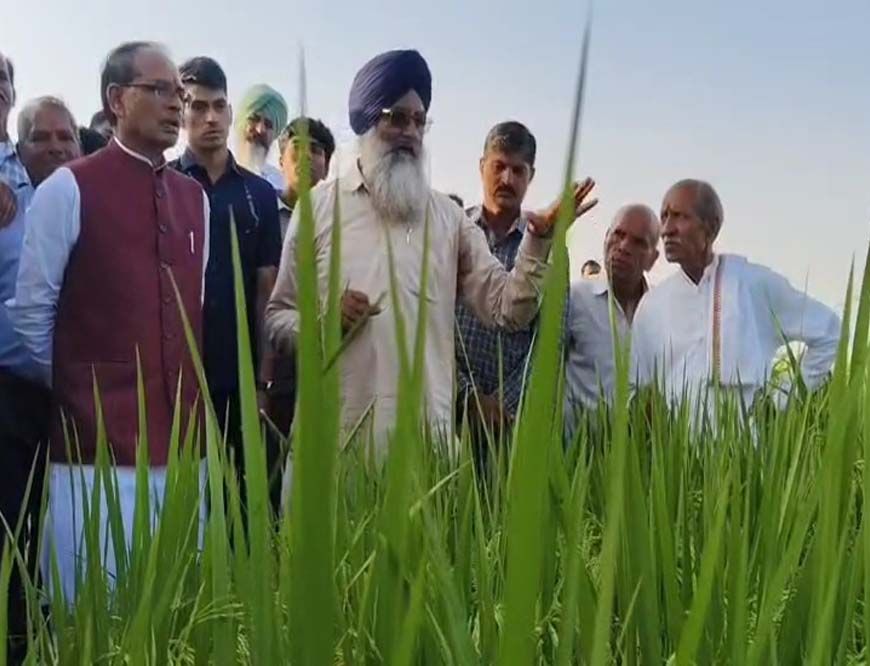 शिवराज सिंह का किसानों को सुझाव: खेती का पैटर्न बदलें, नई बासमती किस्म से होगा बंपर उत्पादन