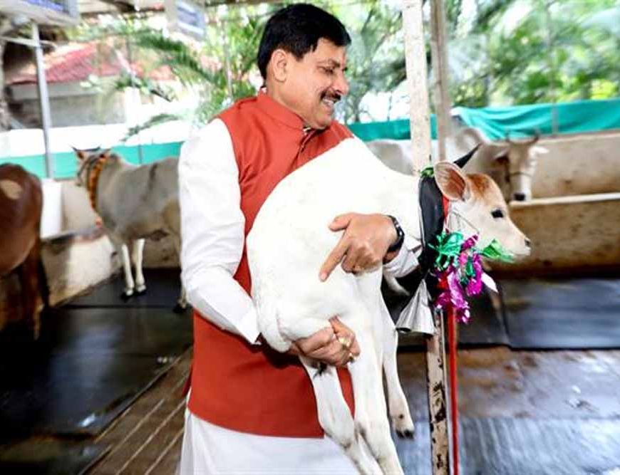 मध्यप्रदेश में दुग्ध उत्पादन से दोगुनी होगी पशुपालक किसानों की आय : मुख्यमंत्री डॉ. यादव