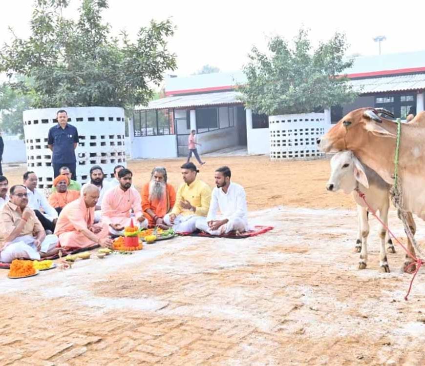 गोवर्धन पूजा पर सीएम योगी बने ‘गोपालक’, गायों को खुद खिलाया गुड़-रोटी