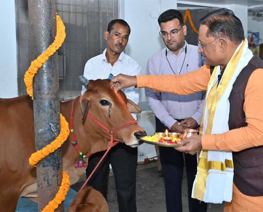 गोवर्धन पूजा पर मुख्यमंत्री ने किया गौपूजन, बोले- गौसेवा ही सच्ची सेवा है