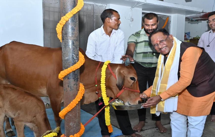 रायपुर : गोवर्धन पूजा के अवसर पर मुख्यमंत्री ने किया गौपूजन, प्रदेशवासियों की सुख-समृद्धि की कामना की