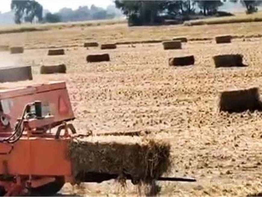पराली जलाने पर कृषि विभाग की सख्ती: 50 किसानों पर एक नोडल अधिकारी की तैनाती