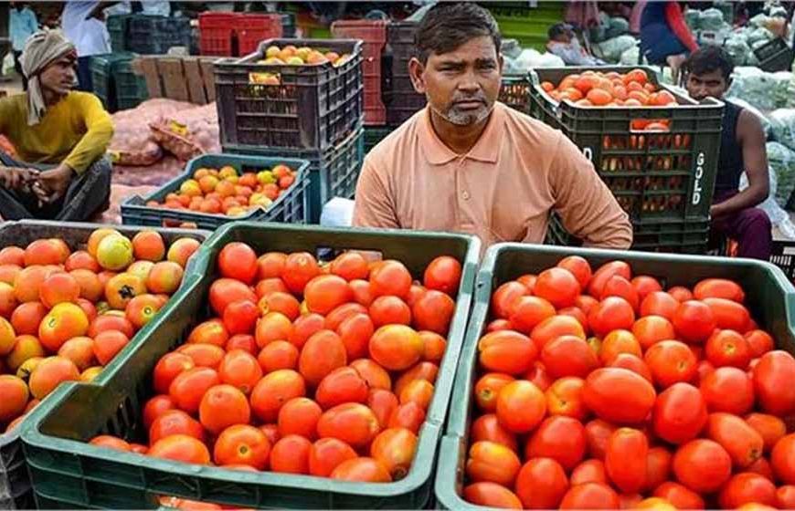पाकिस्तान में टमाटर हुआ लग्जरी, एक किलो की कीमत 700 रुपए तक पहुंची!