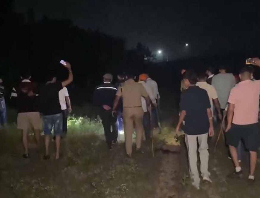 अंबाला में अचानक दिखाई दिया तेंदुआ, वन विभाग अलर्ट पर – चलाया बड़ा सर्च ऑपरेशन
