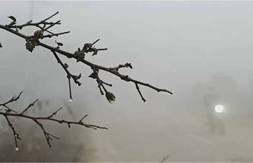 महेंद्रगढ़ में कड़ाके की ठंड, तापमान गिरा 14.5°C; नारनौल में मिली ताज़ी हवा