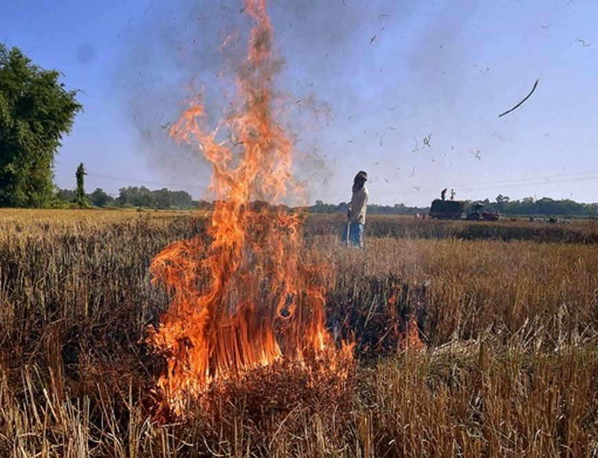 पंजाब में पराली जलने से AQI प्रभावित, किसानों पर 266 FIR और 17 लाख रुपये का जुर्माना