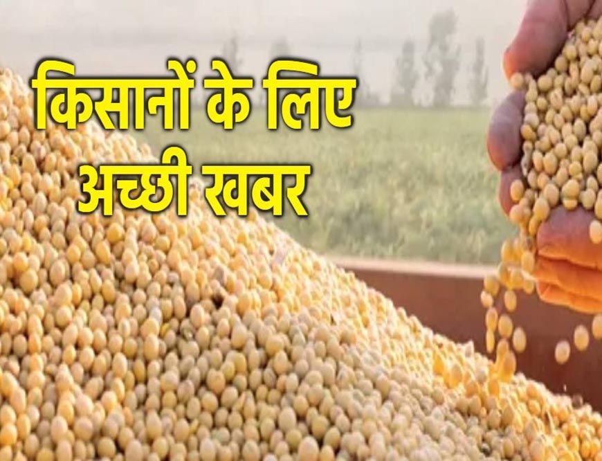 मध्य प्रदेश भावांतर योजना में 14727 किसानों से 25999 टन सोयाबीन खरीदी, जनवरी तक जारी