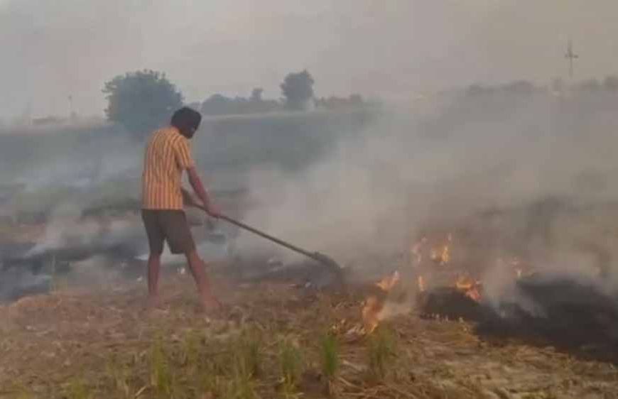 पंजाब में बढ़ी पराली जलाने की घटनाएं, एक ही दिन में रिकॉर्ड तोड़ मामले दर्ज