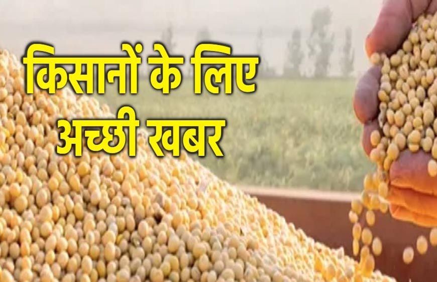 भावांतर योजनांतर्गत कृषि उपज मंडियों में हो रही है सोयाबीन की खरीदी