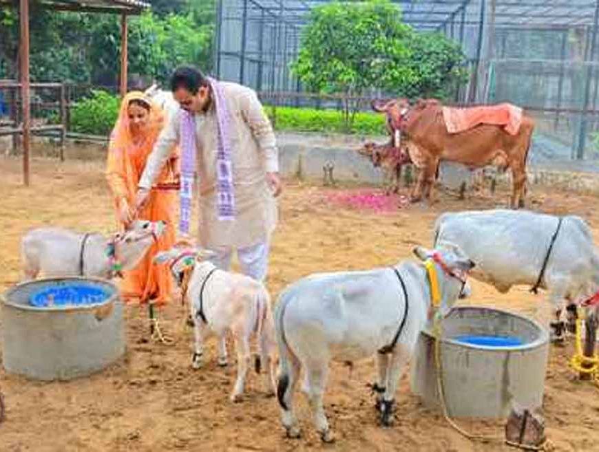 गोपाष्टमी पर सीएम ने किया गौपूजन, बोले – गौसेवा हमारी संस्कृति की आत्मा