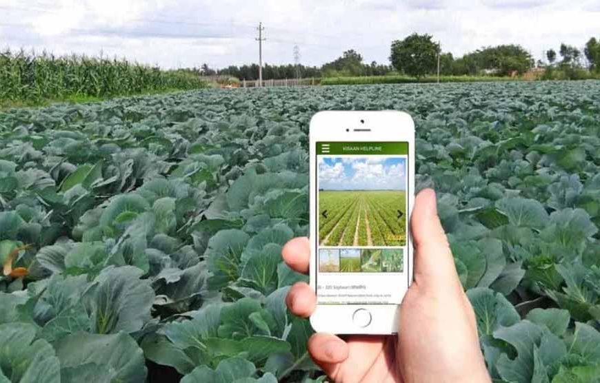 किसानों के लिए खुशखबरी: डिजिटल क्रॉप सर्वे और गिरदावरी सत्यापन की तारीख बढ़ी, अब इस दिन तक कर सकेंगे अपडेट
