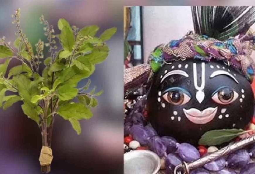 तुलसी के श्राप से शालिग्राम तक: जानें भगवान विष्णु के इस अद्भुत रूप की कथा