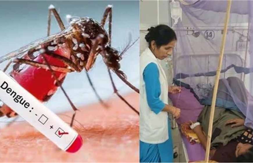 सिरसा में डेंगू का कहर: मरीजों की संख्या 275 पार, स्वास्थ्य विभाग अलर्ट पर