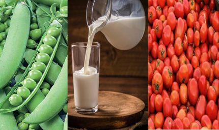 मध्य प्रदेश कृषि में अव्वल: टमाटर में पहला, मटर में दूसरा स्थान; दुग्ध उत्पादन 20% बढ़ाने का लक्ष्य