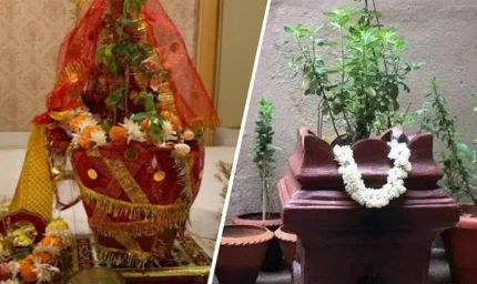 तुलसी विवाह 2025: जानें 2 या 3 नवंबर में कौन-सी है सही तिथि, शुभ मुहूर्त और पूजा विधि