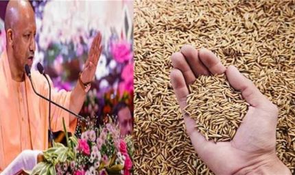योगी सरकार का बड़ा तोहफा! किसानों और राइस मिलों को मिलेगी 1% रिकवरी छूट, 15 लाख लोगों को राहत