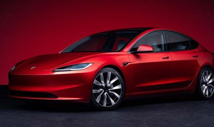 बंद कार दरवाजों में फंसी जिंदगी, 5 की मौत; TESLA पर दायर हुआ मुकदमा